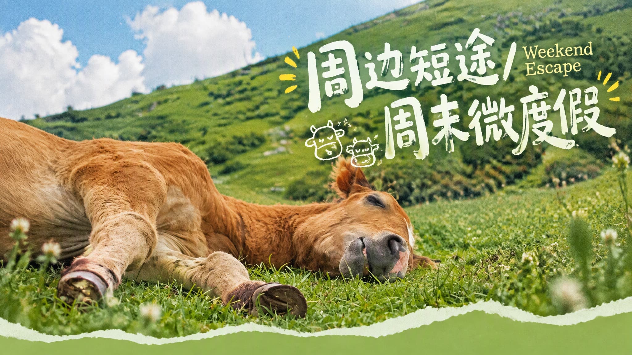 周边短途/周末微度假